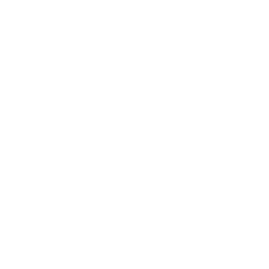 Nakheel-white-transparent-logo-1-300x300